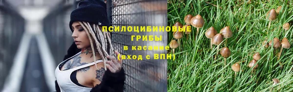 гидра Аркадак